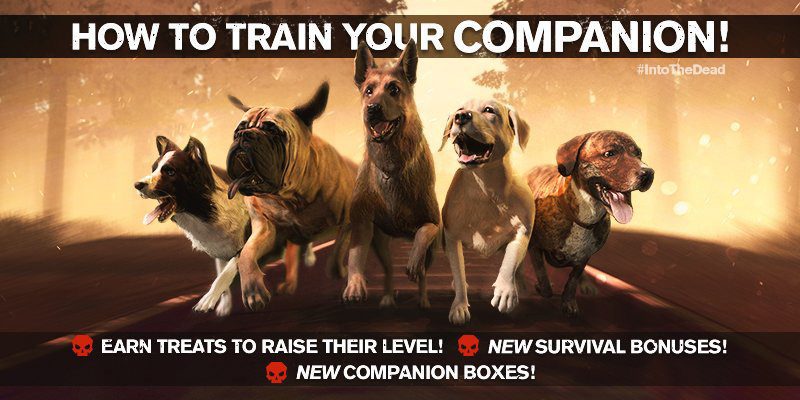 Into the Dead 2 dog companions how to train your companion