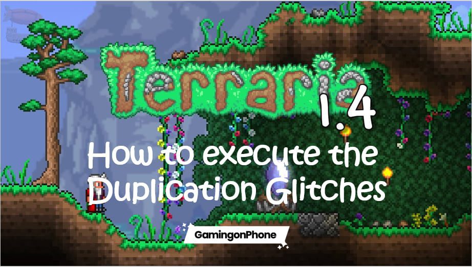 Terraria: How to execute the Duplication glitches