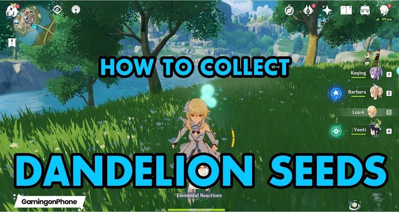 How to collect dandelion seeds in genshin impact