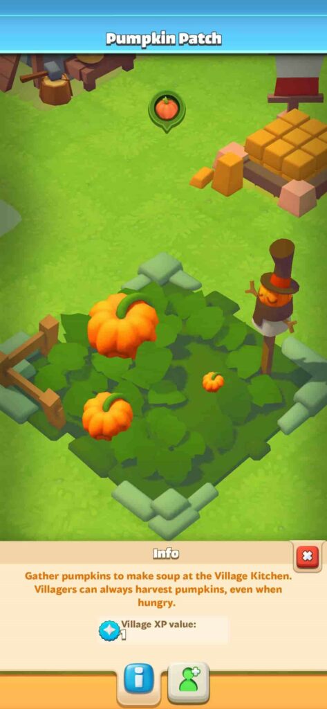  pumpkin patch