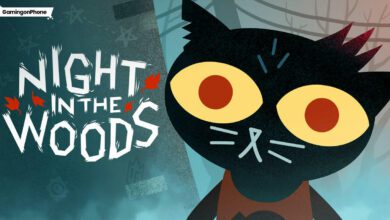 Night in the Woods cover