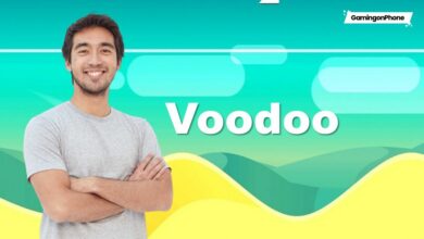 Voodoo Interview