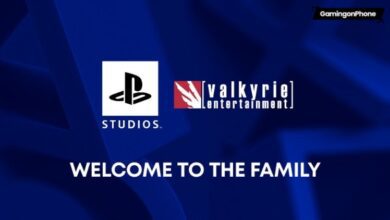 Valkyrie Entertainment joins PlayStation