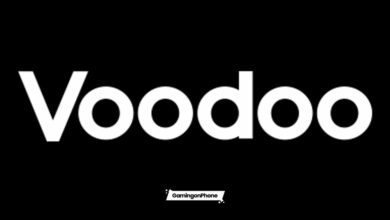 Voodoo logo, Voodoo winter game competition 2023