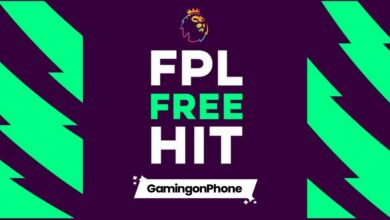 FPL Free Hit Guide DGW