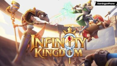Infinity Kingdom game cover