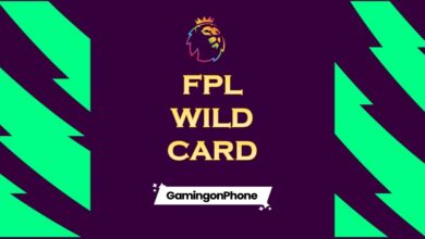 FPL Fantasy wildcard