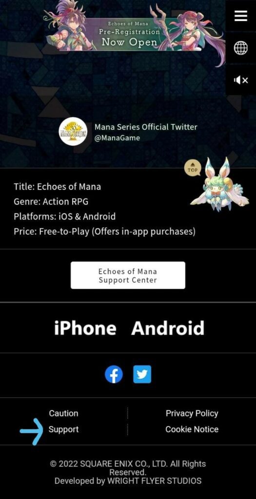 Echoes of Mana customer support