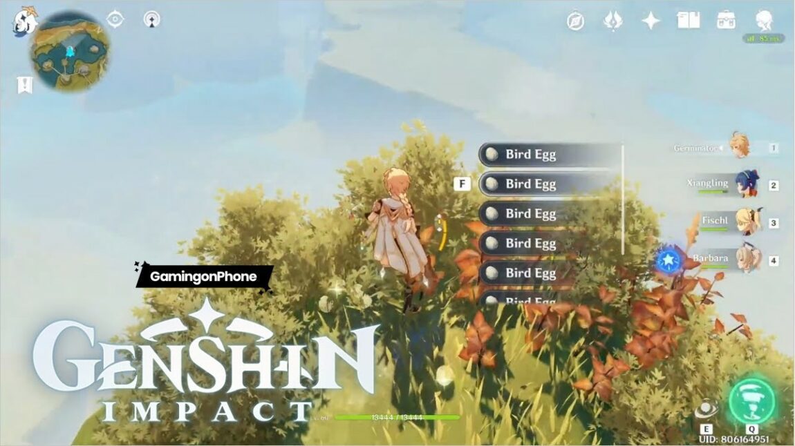 Genshin Impact Bird Egg Locations How to obtain and use them