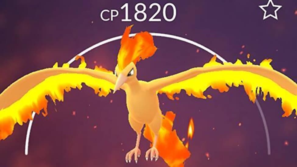 Pokémon Go Moltres Raid: Best Moveset, Counters and Tips