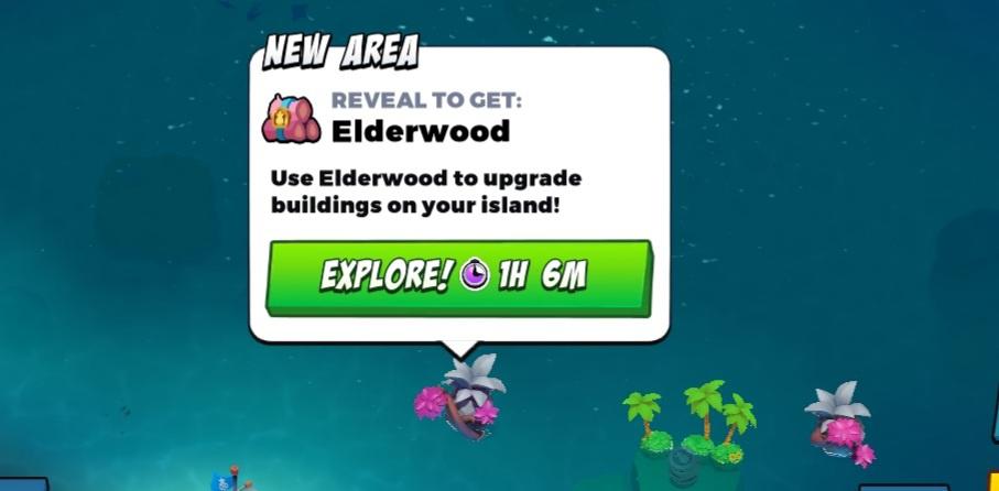 Elderwood use