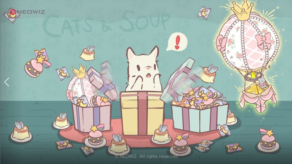 Cats & Soup 1st Anniversary