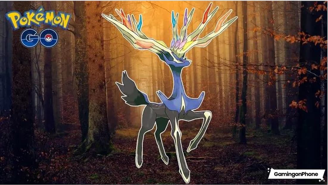 xerneas wallpaper