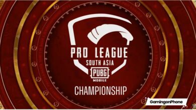 PUBG Mobile PMPL South Asia Championship Fall 2022 champions