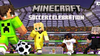 Minecraft Soccer Celebration