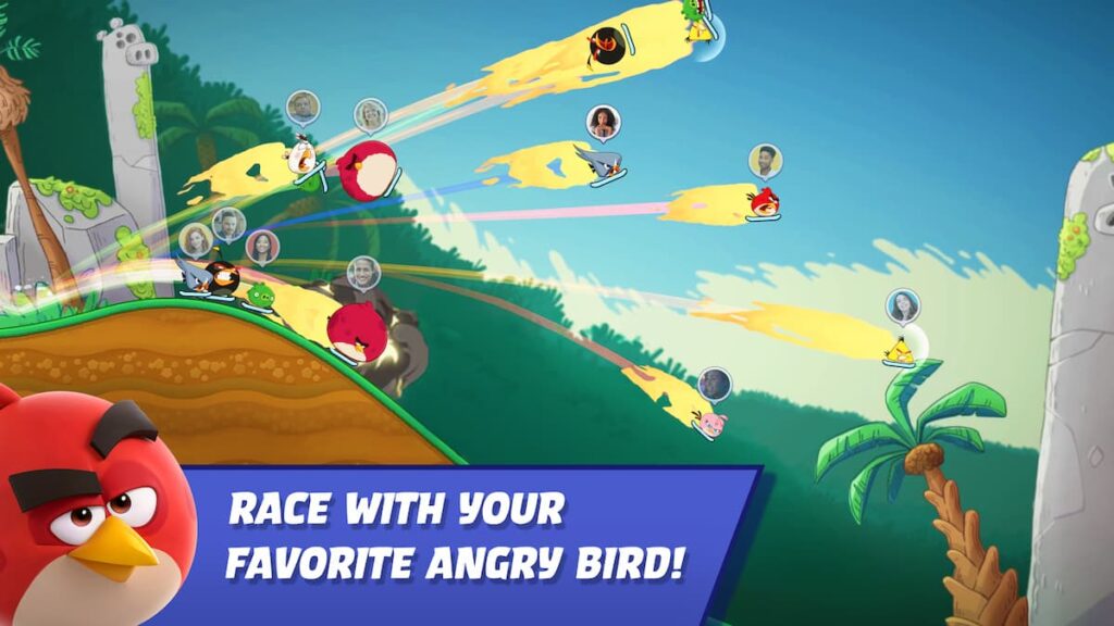angry birds racing, play with friends