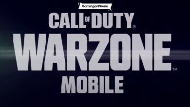 COD Warzone Mobile limited release