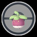 Pokemon GO Community Day Classic: Swinub