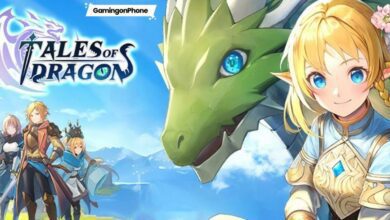 Tales of Dragon Dragon Character Game Cover