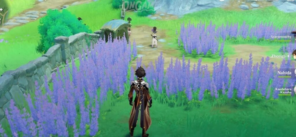 Genshin Impact Upon a Flowery Field of Grass Quest