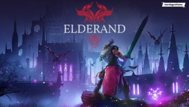 Elderand launch