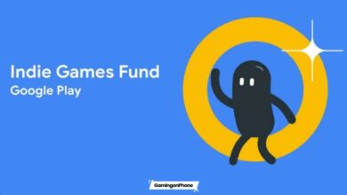 Indie Games Fund