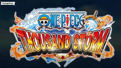 One Piece Thousand Storm cover, One Piece Thousand Storm shutting down