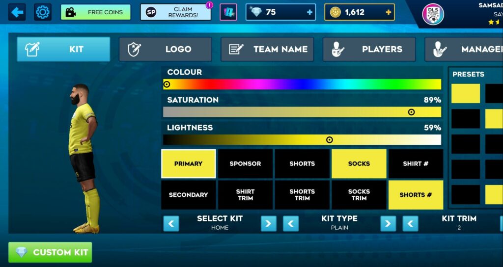 Dream League Soccer 2024 Kit Customization