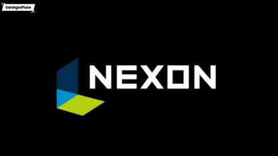 Feminist Criticisms against Nexon were found to be inappropriate, PPURI was forced to accept the blame