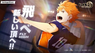 Haikyu!! FLY HIGH, Haikyu FLY HIGH release