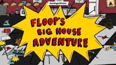 floops big house adventure cover