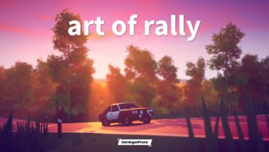 Art of Rally review