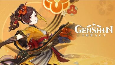 Genshin Impact Chiori Guide