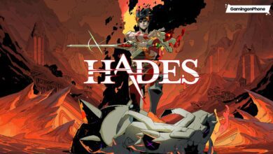 Hades Game Cover Netflix