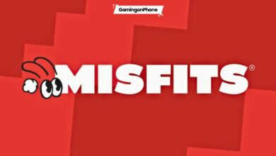 Misfits Gaming cover