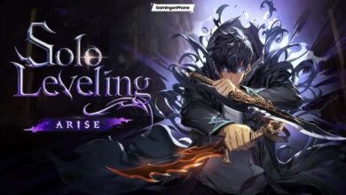 Solo Leveling ARISE class types