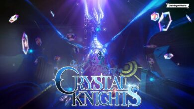 Crystal Knights Beginners Guide, Crystal Knights
