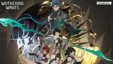 Wuthering Waves redeem codes, Wuthering Waves future plans