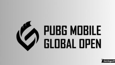 PUBG Mobile Global Open (PMGO) 2025 cover