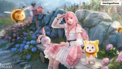 Infinity Nikki cover