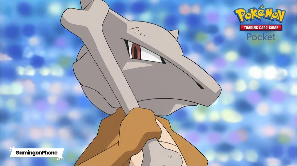 pokemon 2024 mcdonald's cards Pokemon Trading Card Game -Battle Academy- Play Level 1 – Tall Man Toys &  Comics