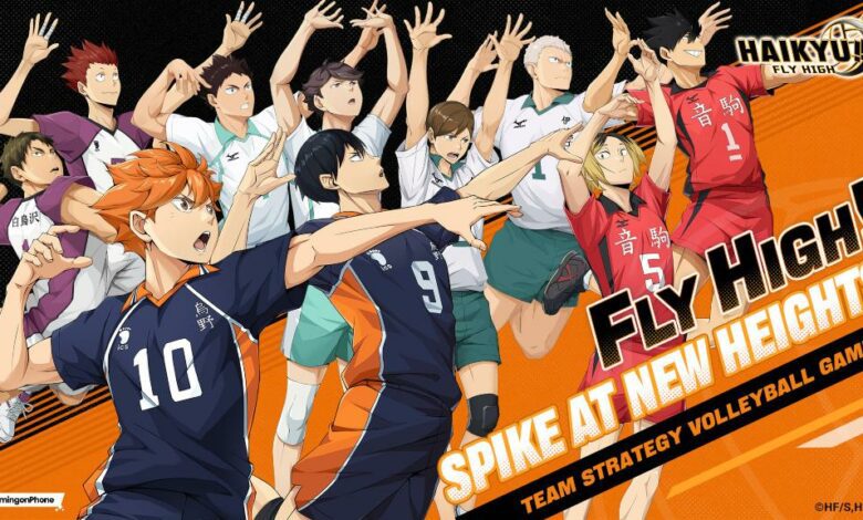 HAIKYU!! FLY HIGH Pre-registration Cover