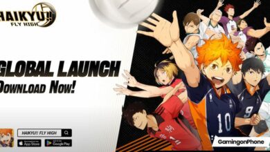 HAIKYU!! FLY HIGH game cover