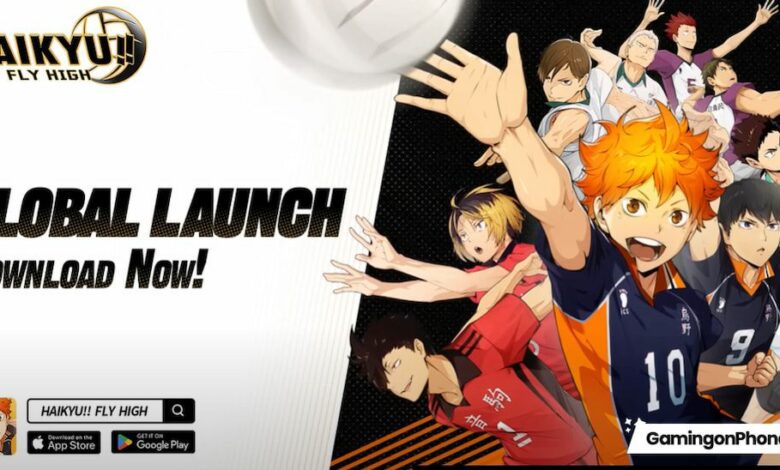 HAIKYU!! FLY HIGH game cover