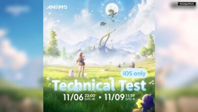 Aniimo Technical Test Cover