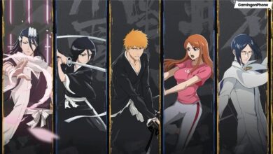 BLEACH: Soul Resonance Characters