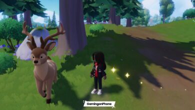 Wild Animal, Game Character