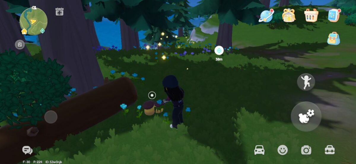 Picking Mushrooms in Heartopia
