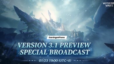 Wuthering Waves 3.1 Banner cover