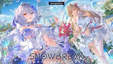 Snowbreak Containment Zone indefinite maintenance